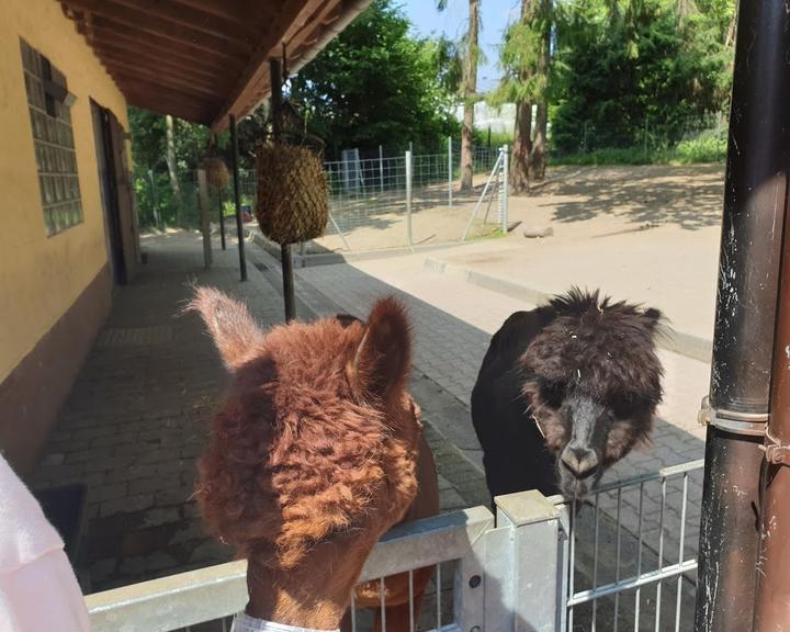 Tierpark Fauna